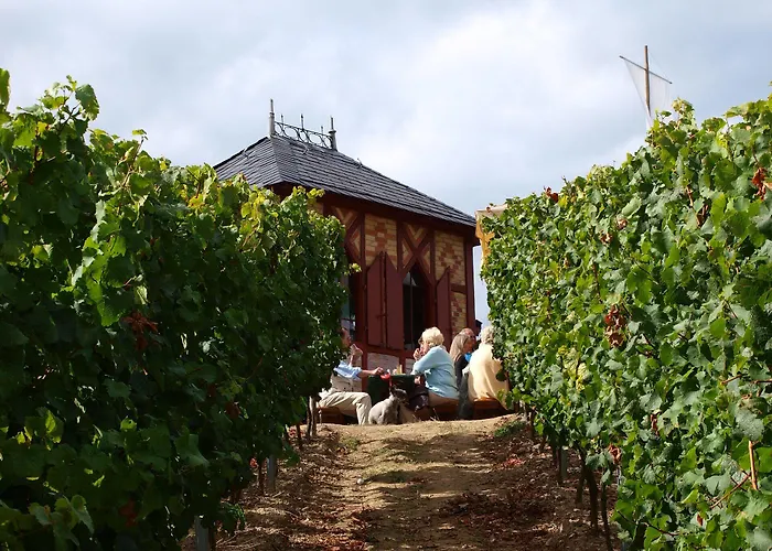 Weinhotel Kaisergarten 4*